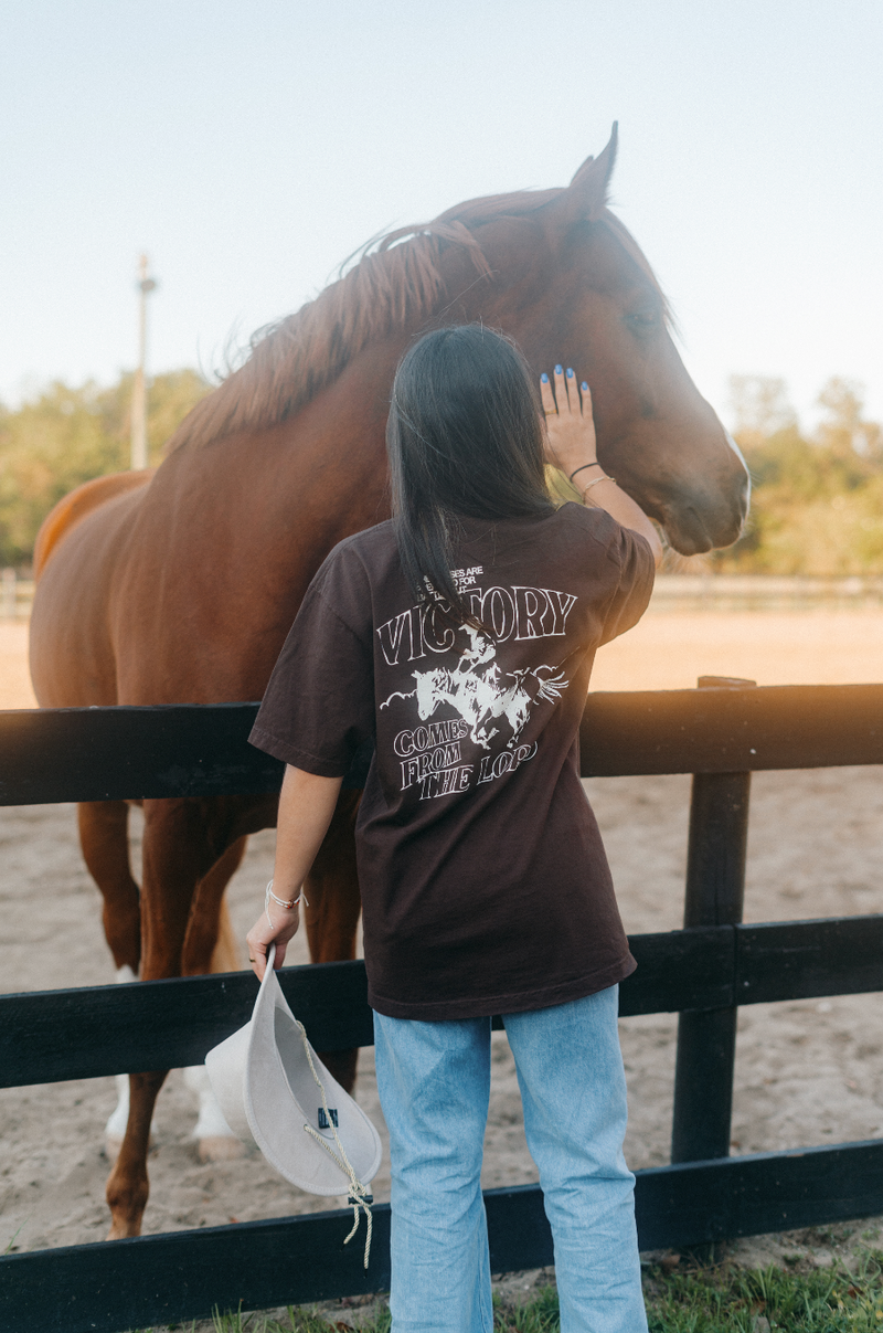 Horses & Chariots (Proverbs 21:31) Tee // Chocolate